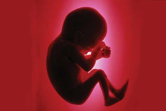ژست جالب جنین درون شکم مادرش +عکس