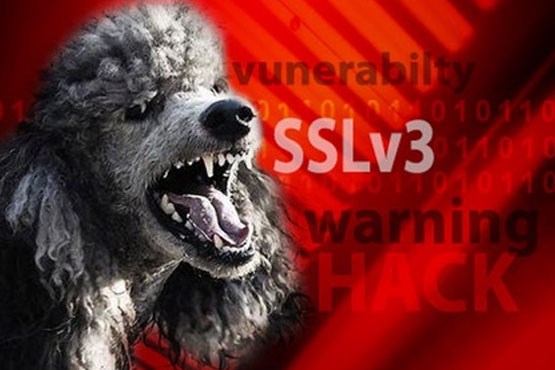 کشف نقص امنیتی در SSL 3.0