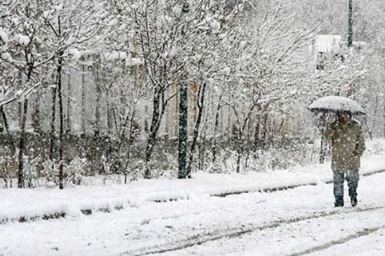 بارش اولین برف زمستانی در شیراز