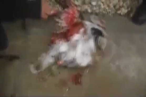 پرنده انتحاری طالبان کشته شد + فیلم