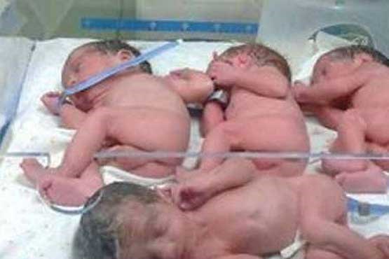 مرگ 4 نوزاد از هفت قلوهای مشهدی