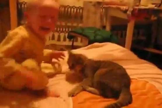 دعوای کودک و گربه