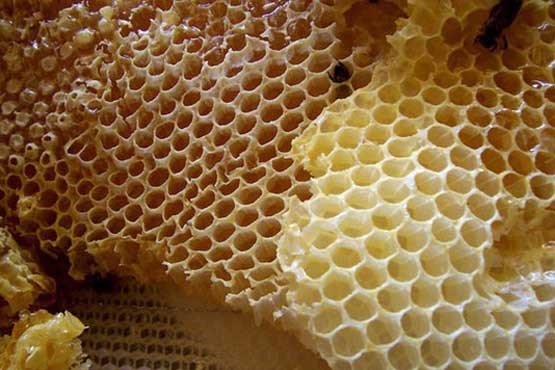 ریزش مویتان را با موم عسل درمان کنید