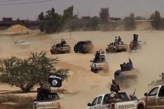 15 سرکرده داعش در عراق کشته شدند