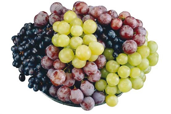 کاهش ابتلا به عفونت با مصرف انگور و توت فرنگی