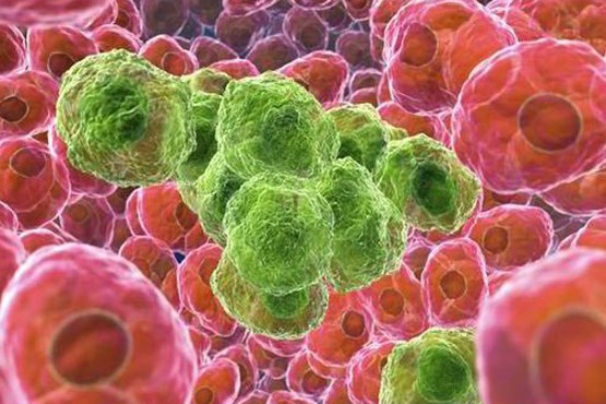 10 آنتی‌بادی جدید برای مقابله با سرطان شناسایی شد