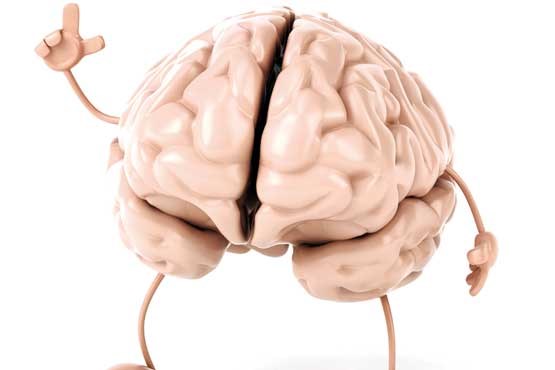10 باور نادرست درباره مغز