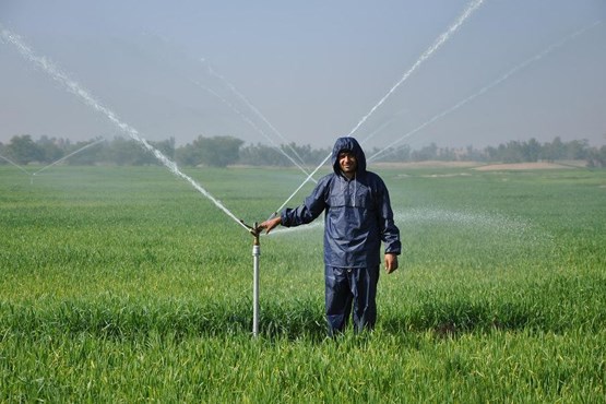 ظرفیت تولید کشاورزی ایران بیش از 200 میلیون تن است