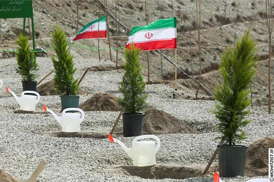 امسال ۵ میلیون درخت در تهران کاشته شد