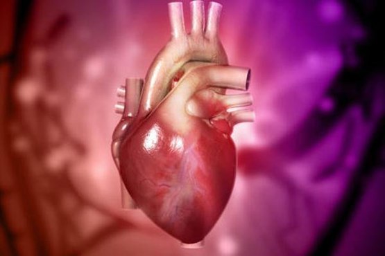 مدل سه بعدی قلب در ایران ساخته شد