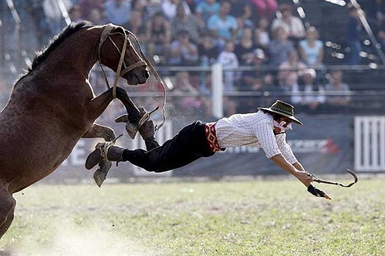 مسابقه اسب سواری در آمریکای لاتین‎