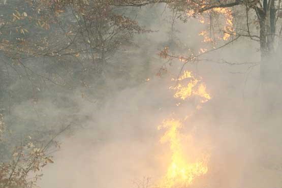آتش در کمین پارک ملی گلستان