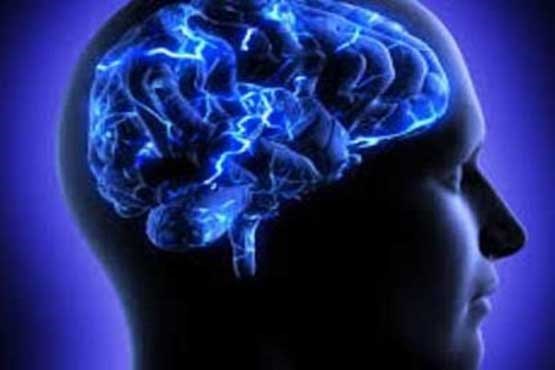 رمزگشایی از مغز با کاوشگرهای عصبی