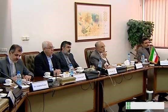 بررسی واگذاری اداره دائم نیروگاه اتمی بوشهر به متخصصان داخلی