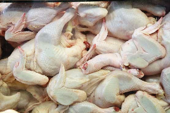 هشدار کارشناسان درباره مرغ‌ های آنتی‌ بیوتیکی