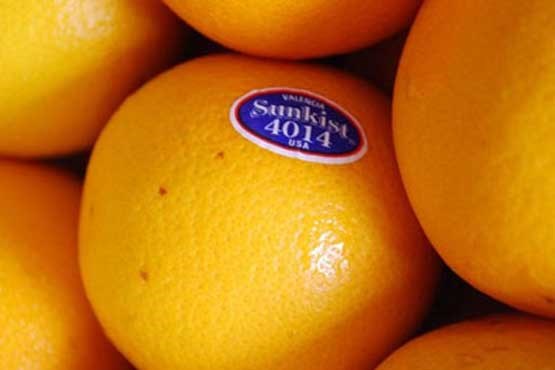 خداحافظی جنجالی پرتقال با بازار