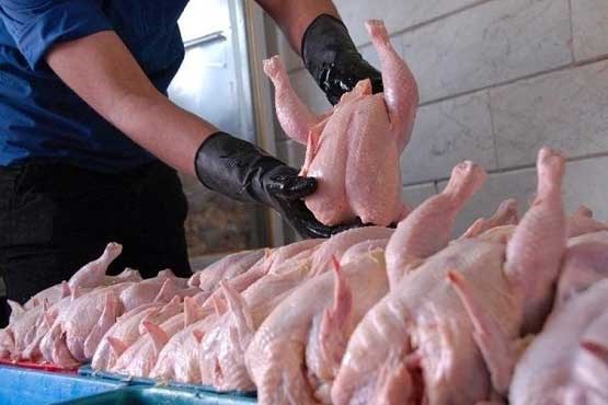 روند کاهشی قیمت مرغ در رمضان ادامه دارد