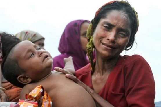 «روهینگیا»؛ این مردم مرگ می نوشند+ مجموعه عکس