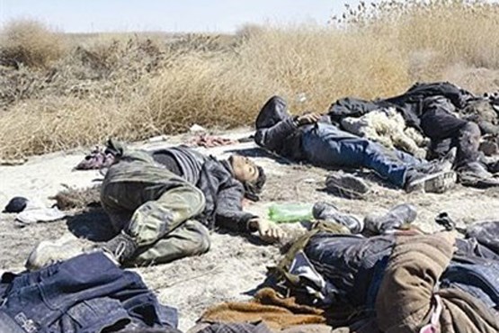 37 تروریست داعشی در الرمادی کشته شدند