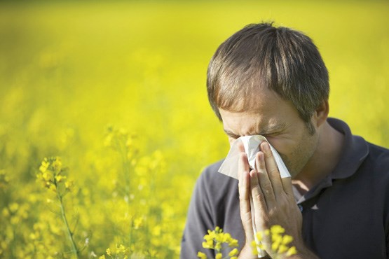 روز خداحافظی با آلرژی‌های فصلی نزدیک است