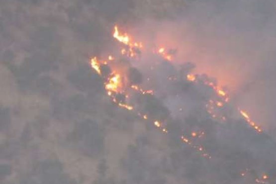 آتش دو منطقه جنگلی شهرستان ایوان را در برگرفت