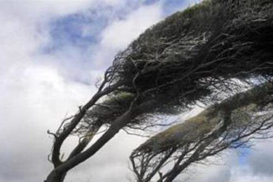 وزش باد شدید در ۸ استان
