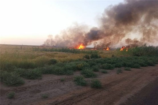 آخرین پایگاه داعش در استان دیالی سقوط کرد + عکس