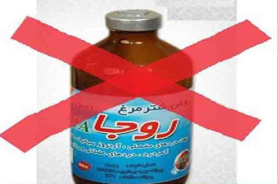 روغن شتر مرغ «روجا» تقلبی است