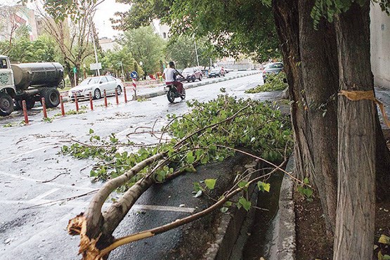 36 مورد حادثه در توفان امروز تهران