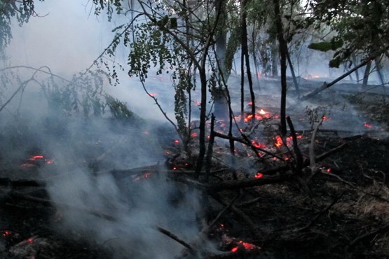 آتش‌سوزی در پارک ملی گلستان