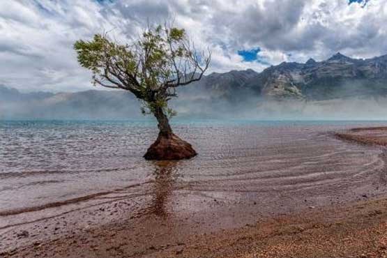 جزیره نیوزیلند جنوبی، بهشتی بر روی زمین + عکس