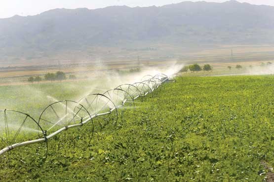 چالش طرح احیای اراضی کشاورزی خوزستان برای تامین آب