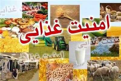 سلامت غذا در ایران را پیدا کنید