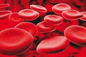 خون سازها را بشناسید