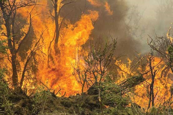 مهار آتش سوزی جنگلهای گچساران پس از 2 روز