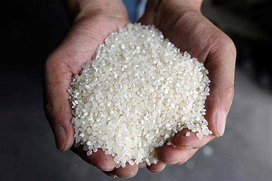 جایگزین داخلی قرص برنج آمد