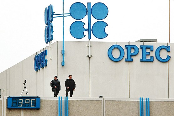 سقوط قیمت نفت و آمادگی روسیه برای مذاکره با اوپک