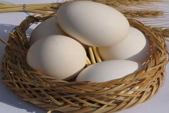 تخم مرغ ارزان بشو نیست! / اتحادیه: صادرات تخم مرغ نداریم