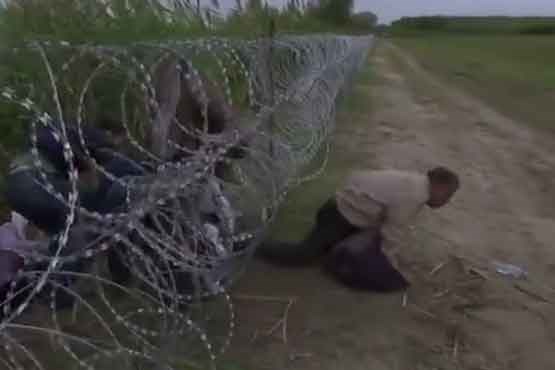 عبور مهاجران غیر قانونی از مرز مجارستان+ فیلم