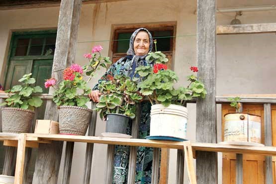 نیمی از سالمندان به بازار کار بر می گردند