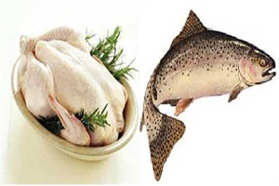 قیمت مرغ کاهش یافت / نرخ جدید انواع ماهی در بازار