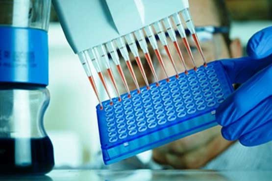 آزمایش ژنتیک با هزینه دولت اجباری می شود