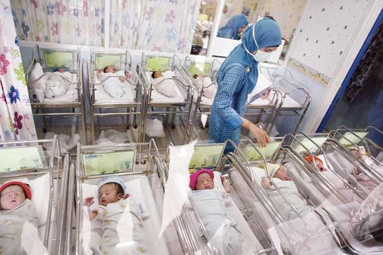 نرخ موالید در ایران افزایش یافت