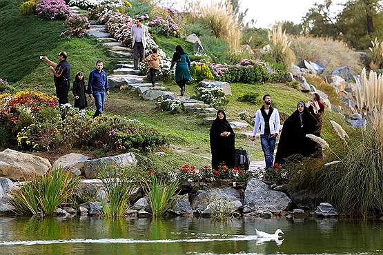 نمایشگاه گلهای داوودی در باغ گیاهشناسی مشهد
