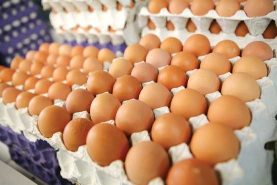 تخم مرغ‌های ایرانی به قطر رفت