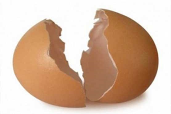 پوست تخم مرغ را به هیچ وجه دور نیندازید!