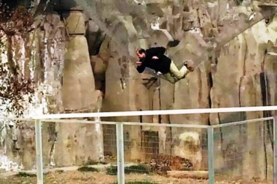 سقوط بازدیدکننده باغ وحش به داخل قفس ببرها + عکس