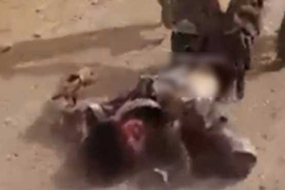 فیلم به هلاکت رسیدن جلاد داعش