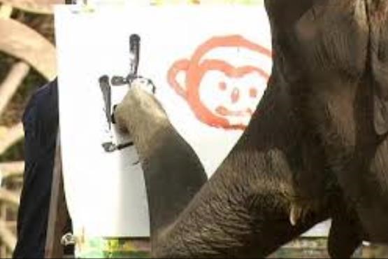 خوشنویسی و نقاشی به سبک فیل ها
