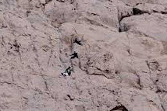 نجات بانوی کوهنورد از آبشار تنگ تامرادی بویراحمد (عکس)